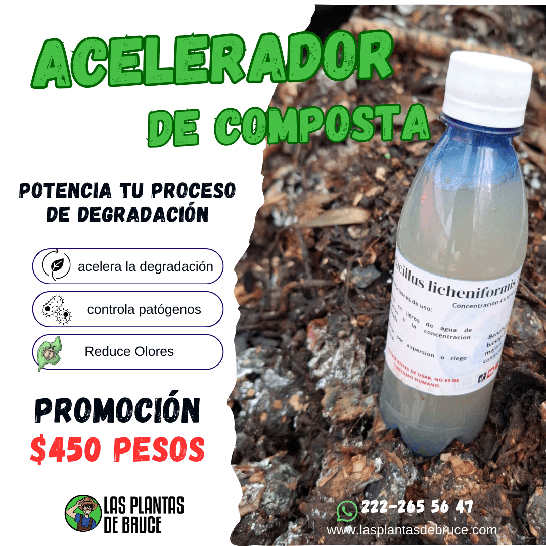 Producto Biocompoz — Consorcio bacteriano activador del suelo