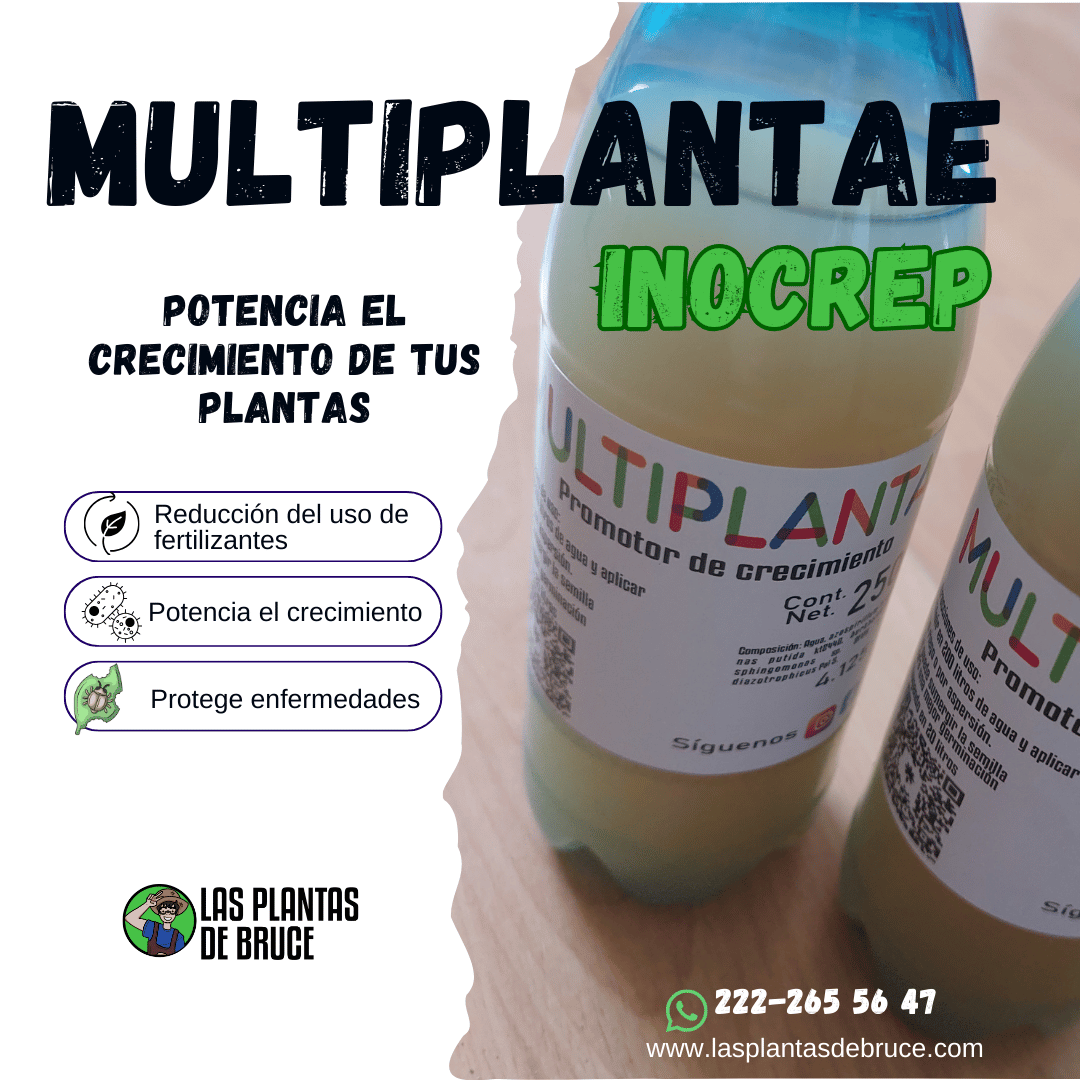 Producto INOCREP — Inoculante micorrícico para raíces