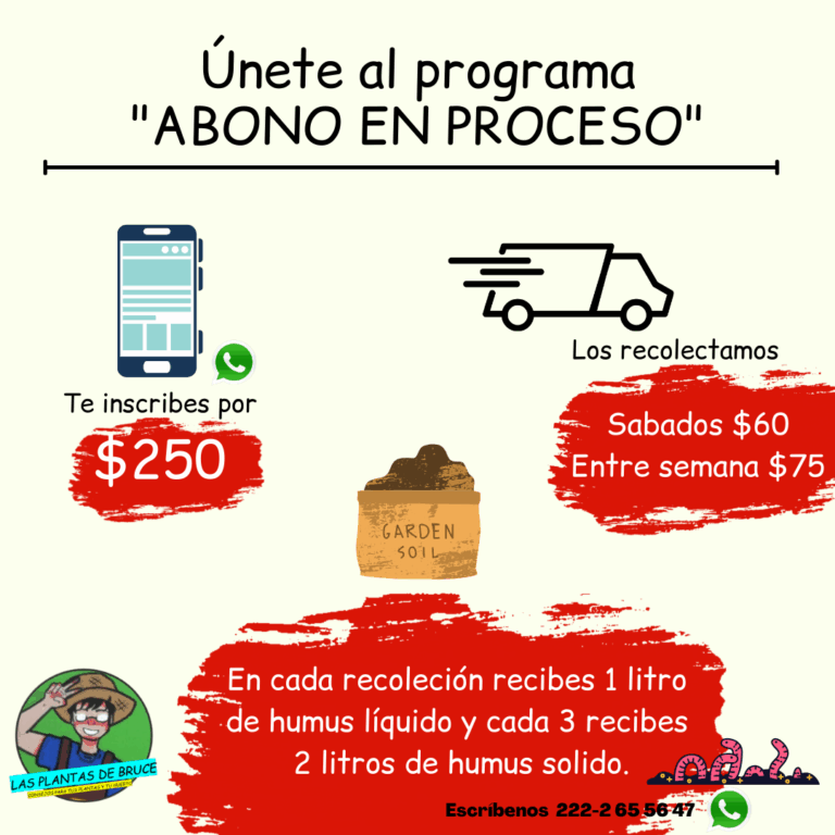 Proceso de inscripción al servicio Abono en Proceso de Las Plantas de Bruce